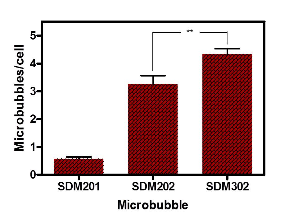 Direct counts of microbubbles attached on cells Direct counts of microbubbles attached on cells